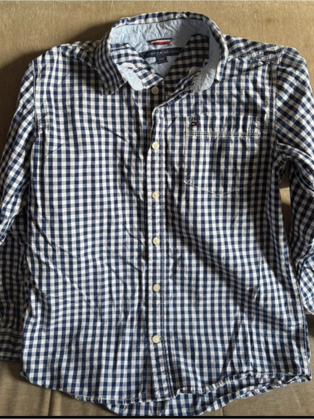 Tommy Hilfiger Navy and White Gingham Button-Down Shirt